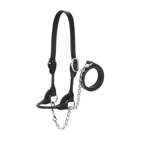 Weaver Leather SM BLK Show Halter 90-0501